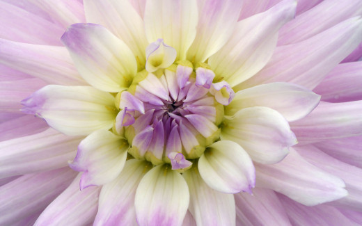 908428 (a): :2560x1600